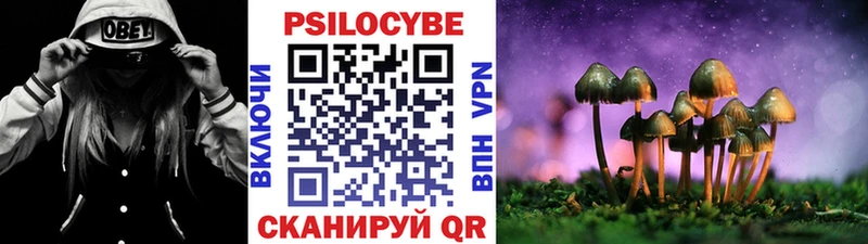как найти наркотики  Калач-на-Дону  Псилоцибиновые грибы Psilocybine cubensis 